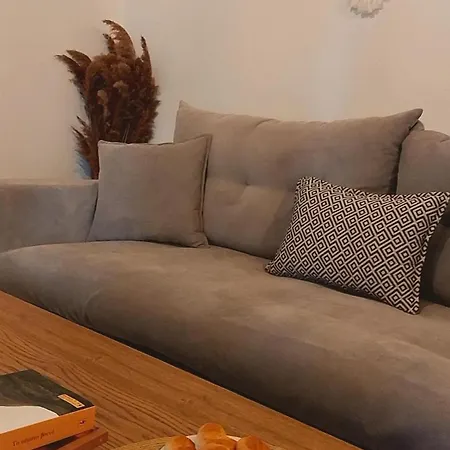 Traditional In Chora #7 Διαμέρισμα *